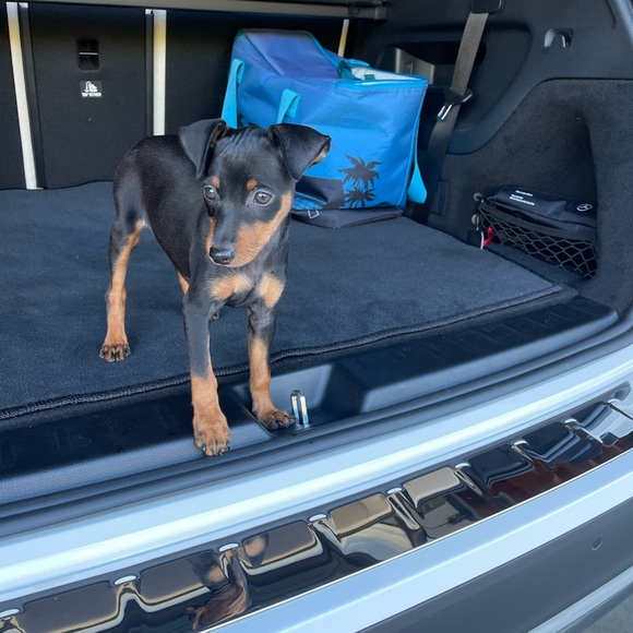 Profile - Picture 3 of 4